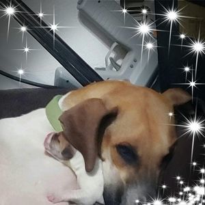 Meet your Posher, Karen